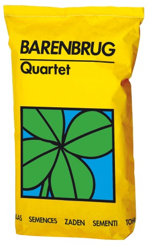 Zak_Quartet.jpg